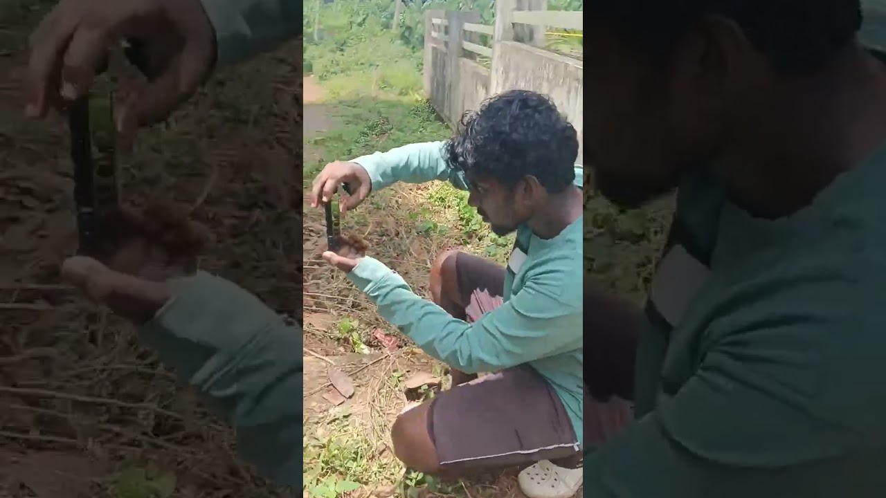 photography /kerala/sjphotography