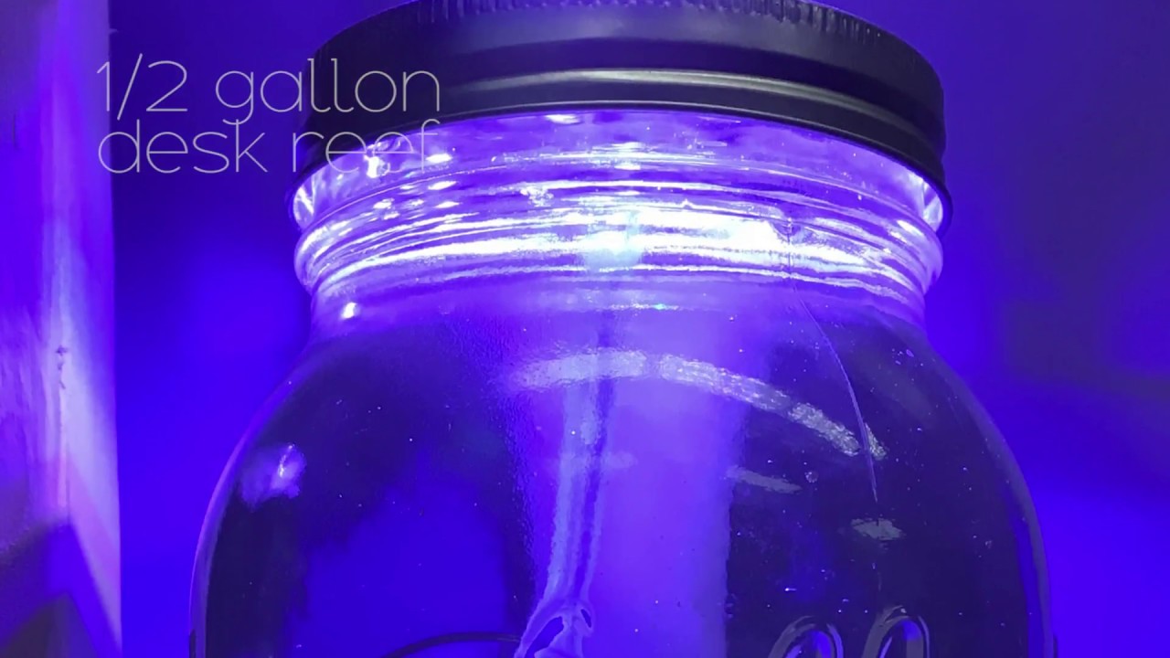 Half Gallon Pico Reef Mason Jar Youtube