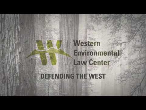 Western environmental law center jobs