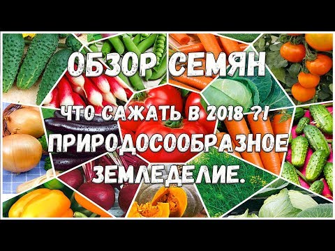 Как сделать живот плоским быстро? Фитнес упражнения