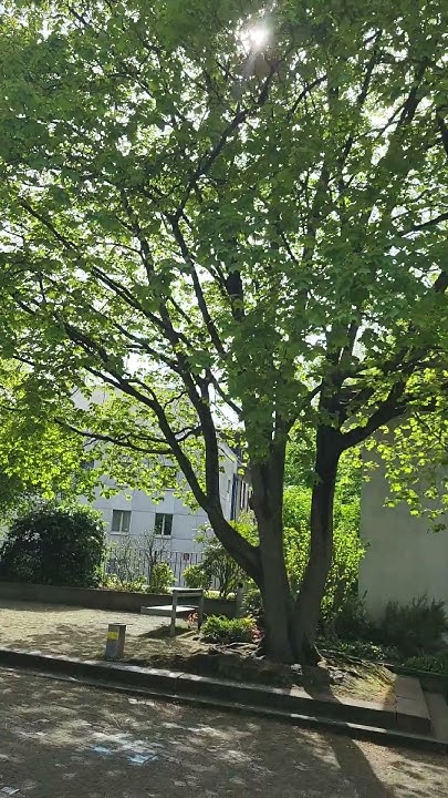 Цюрих, Церковь Святого Петра, часть 22, 😊🚞🚙🛥️🌿 Zürich, Switzerland ...