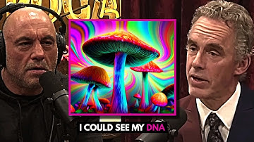 Jordan Peterson