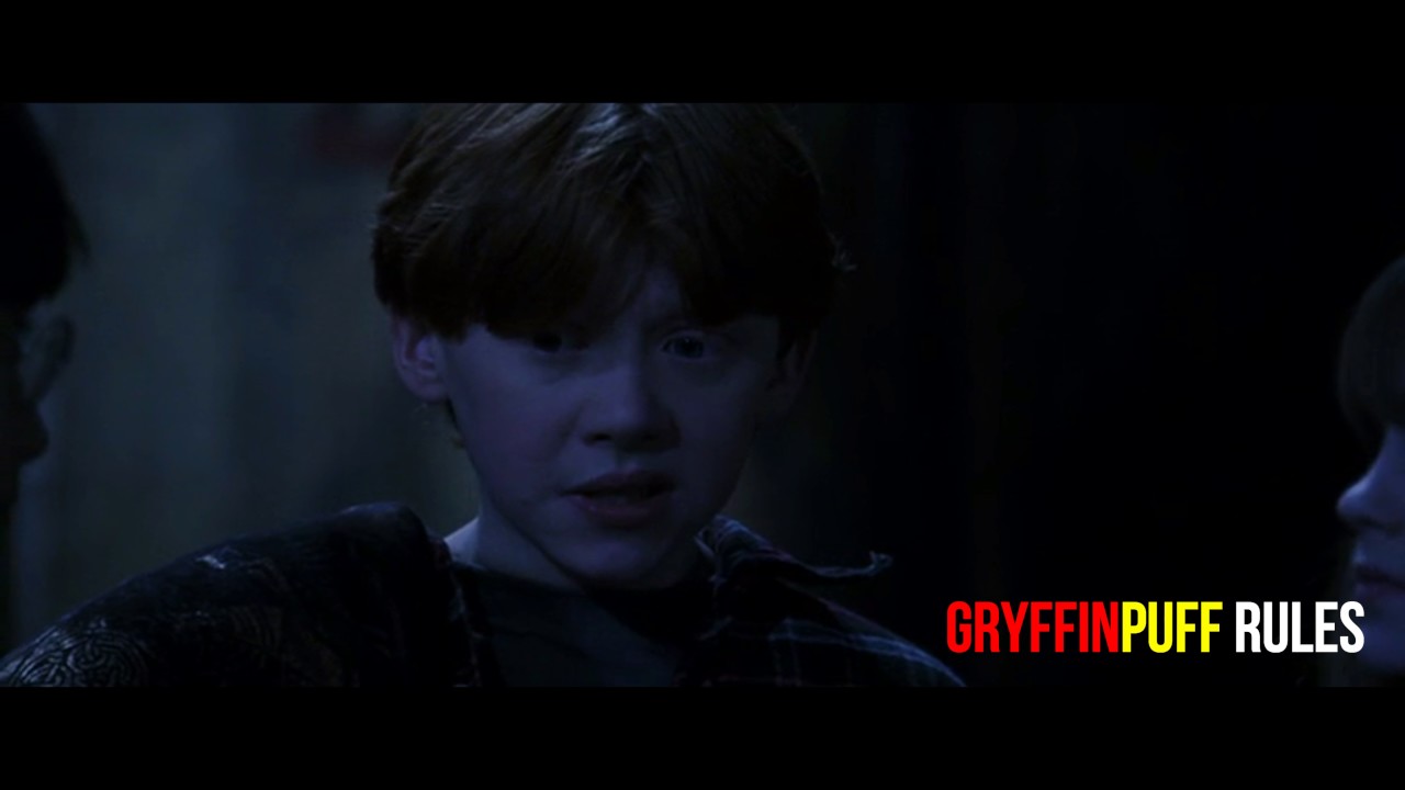 Harry Potter & Fantastic Beasts || Petrificus Totalus Similarity