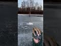 ice fishing 🎣🐟 #viralvideo #icefishing #fishingvideo #fishing #shorts
