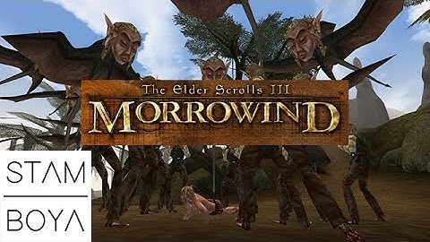 TES III: Morrowind - Fargoth has goth far too much money on his hands