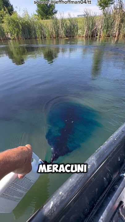 This Man Was Accused of Poisoning a Lake… But Turns Out He Saved It‼️😎👍🫡 #shorts #viralshorts