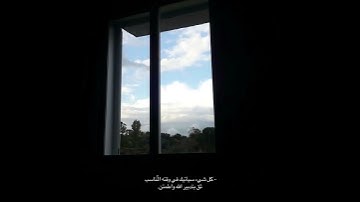 قران كريم بصوت ماهر المعيقلي🤍🌿 حالات واتس اب دينية مقاطع استقرام