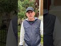 Арест будущего урожая. Взыскание долга по расписке.  Оперативная юридическая помощь Максима Коваля