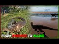 From ENEMIES to Temporary ALLIES - Solo Omni vs Teno - The Isle Evrima Hordetesting