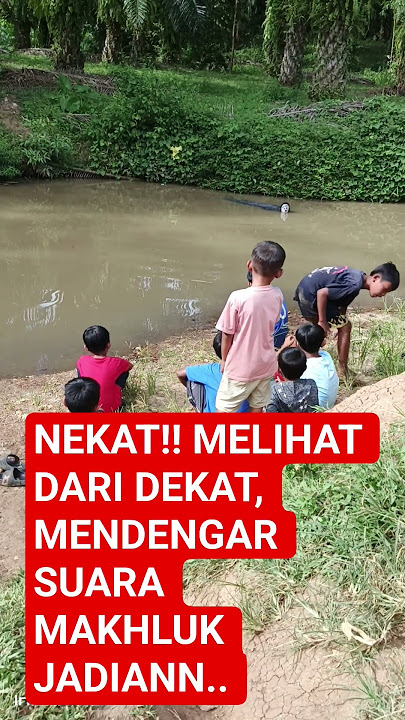 Download lagu MENGERIKAN !! MAKHLUK JADIAAN KELUAR DARI LOBANG..