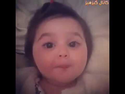 بوس بوس بوش