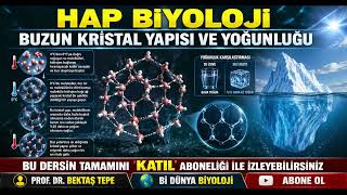 Buzun Kristal Yapısı ve Yoğunluğu