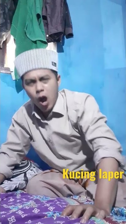 sound kucing lagi #viral #shorts  #kucing #mesir