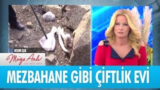Download Mezbahane Gibi çiftlik Evi - Müge Anlı İle Tatlı Sert 6 Eylül 2018 Video MP3 Mezbahane Gibi çiftlik Evi - Müge Anlı İle Tatlı Sert 6 Eylül 2018