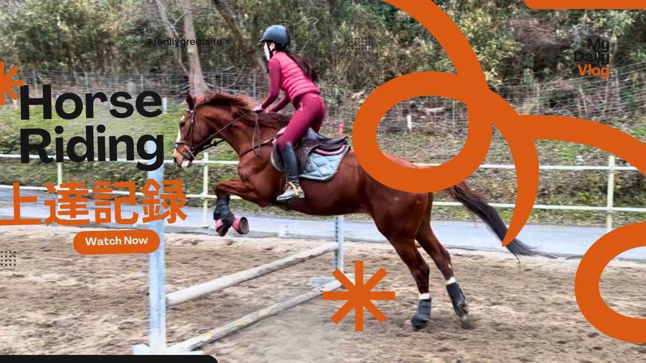 【乗馬】障害馬術練習中✨️✨️🌈#horse #乗馬 #horseriding #かわいい #障害馬術