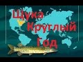 Диалоги о рыбалке. Ужение щуки круглый год