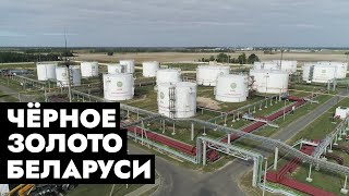 видео: От первой скважины до цифрового месторождения! Где добывают нефть в Беларуси? | Специальный репортаж картинка: От первой скважины до цифрового месторождения! Где добывают нефть в Беларуси? | Специальный репортаж