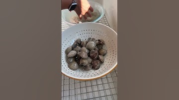How to easily clean your clams out of any sand or grit!
