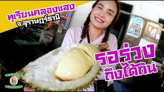 ต้องรอร่วงเท่านั้น ถึงได้กิน ทุเรียนคลองแสง | สุราษฎร์ธานี | sadoodta