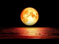 Relaxing Sleep Music 24/7, Insomnia, Deep Sleep Music, Spa Music, Calming Music, Study Music, Sleep