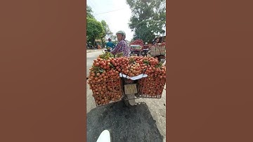 Lục Ngạn Mùa Vải thiều chín,,tấp nập đông vui