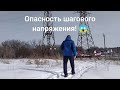 Опасность шагового напряжения! 😱, кратко на пальцах об этом!