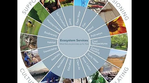 Ecosystem Services