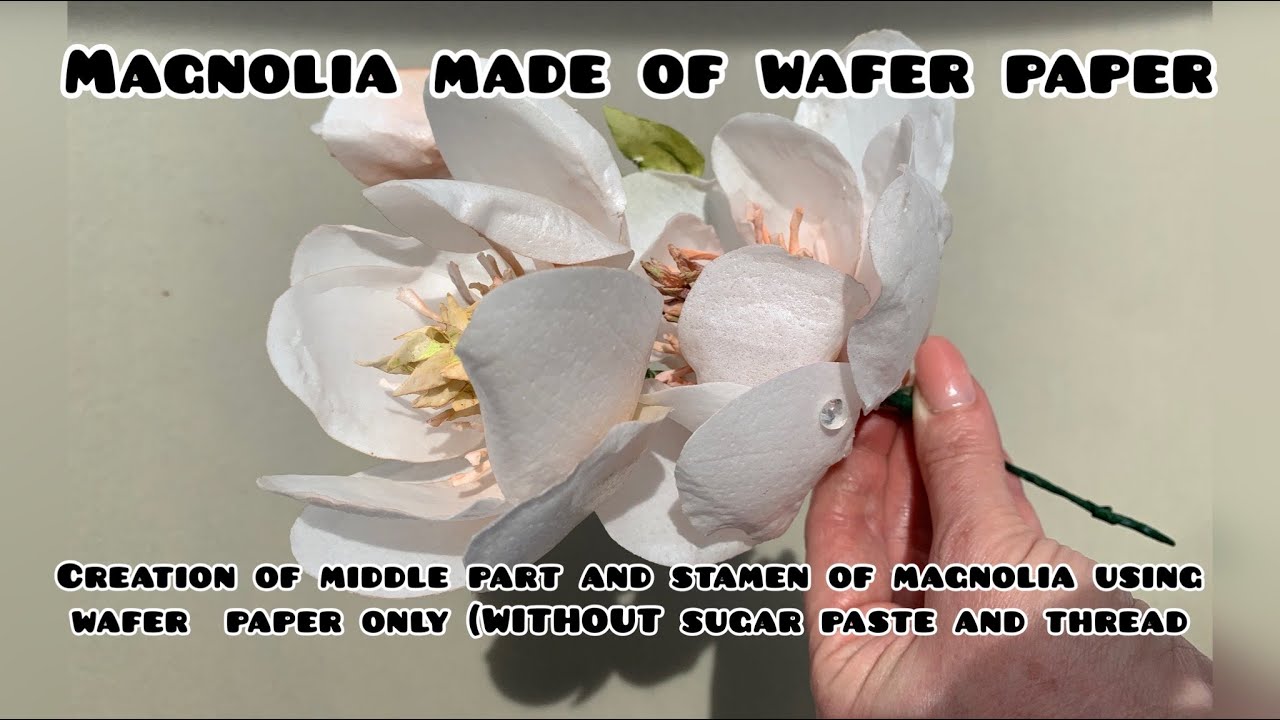 MAGNOLIA MADE  OF WAFER PAPER Creation of middle part and stamen of magnolia using wafer  paper only