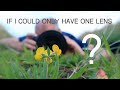 If I could only have one lens | Nature Photography