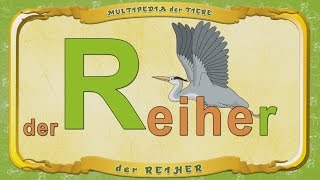 Multipedia Der Tiere. Buchstabe R - Der Reiher