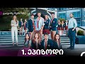 გაიგონე ჩემი ხმა 1 ე სერია Kartuli Dublaji