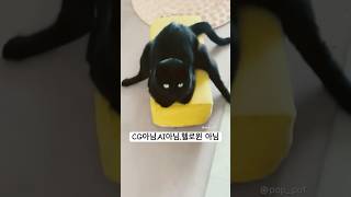 CG아님, AI아님, 헬로윈 아님