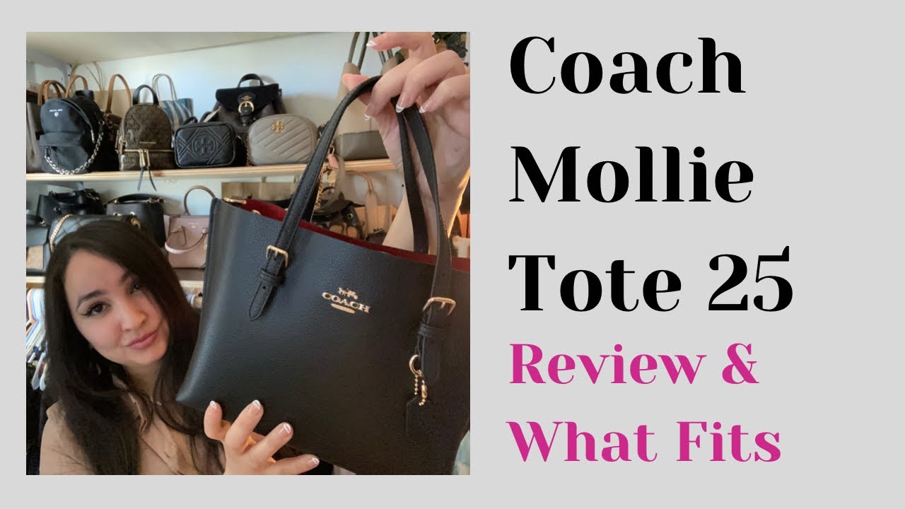 Coach Mollie Tote Bag Review! 