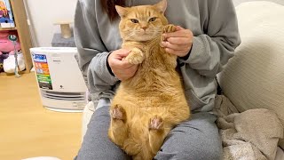 疲れた時や悲しいことがあった時はプリンのところへ「みんなあつまれ」-When you get tired, gather at the Purin!-