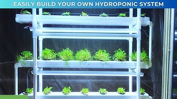 Build Your Own NFT System at Home for beginners. DIY Hydroponics | Vertical Garden