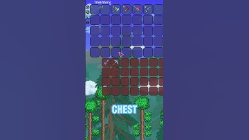 Duplication Glitch in Terraria 1.4.4.9