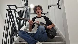 Hotel Song - Regina Spektor