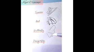 Different Types Of Animal Feathers Drawings