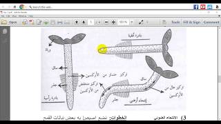الهرمونات النباتية: الحصة العملية السابعة_فسيولوجيا النبات 201 أ ن ب