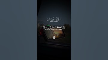 سورة غافر #اكسبلور #أحمد_الشافعي #آيات #حالات_واتس #رحم_الله_الشيخ_سعيد_الشافعي #المصحف #راحة_نفسية