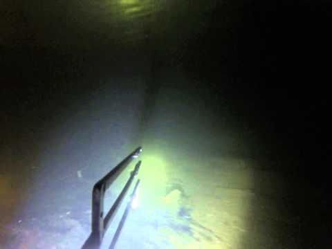 подводная охота на реках ленинградской области