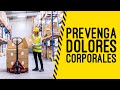 Cómo prevenir dolores corporales en el trabajo