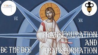 Be the Bee #42 | Transfiguration and Transformatio...