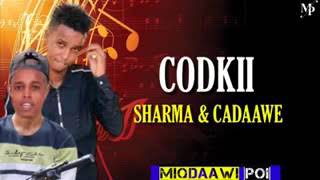 hestii cubku xir sharma boy
