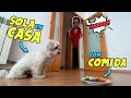 ¡Mi Perro SOLO en CASA con COMIDA! EXPERIMENTO 🤔 Anima Dogs