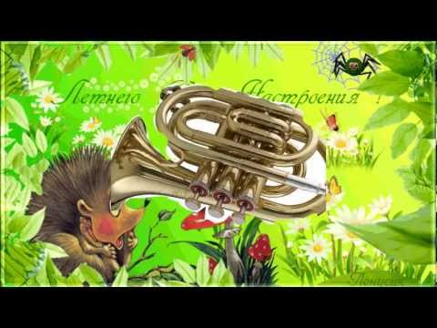 ЛЕСНАЯ ДИСКОТЕКА. Хорошего вам настроения!!!