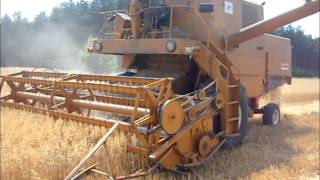 Żniwa 2013 Bizon Zo56 X3