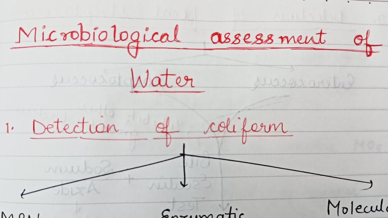 Microbiological assessment of Water / Water testing / Detection of microorganisms in Water