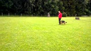 Baru Vom Fürstenbrunn - Intro