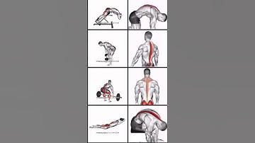 Erector spinae workout#gym #video #boodybuilding #fitness #explorepage